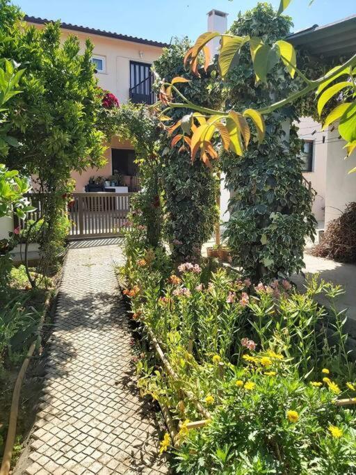 Casa Alegria - The Orangery Apartman Tomar Kültér fotó